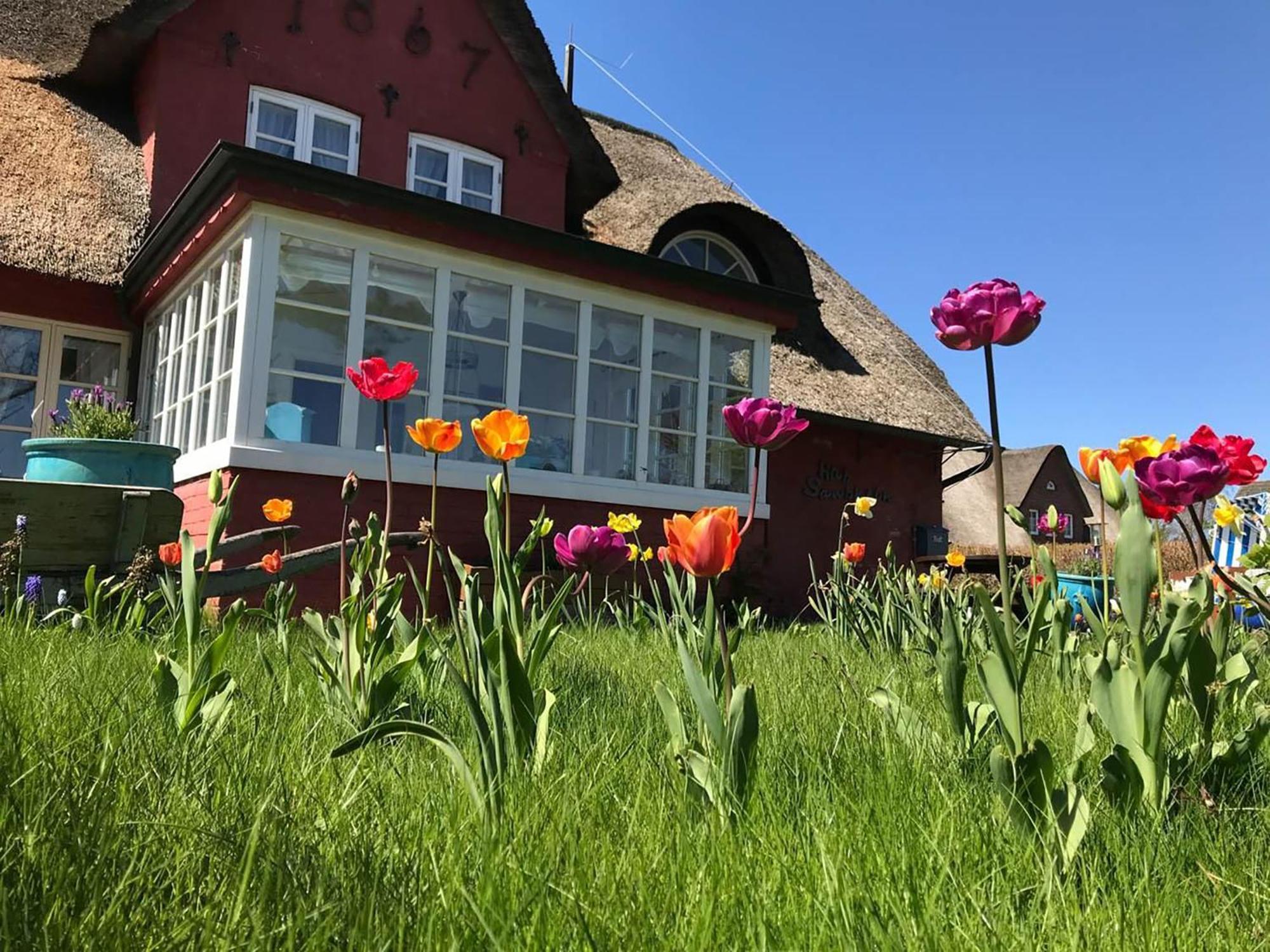 Hues Sanskiin Ferienwohnung *Hopelfask* Suddorf Экстерьер фото